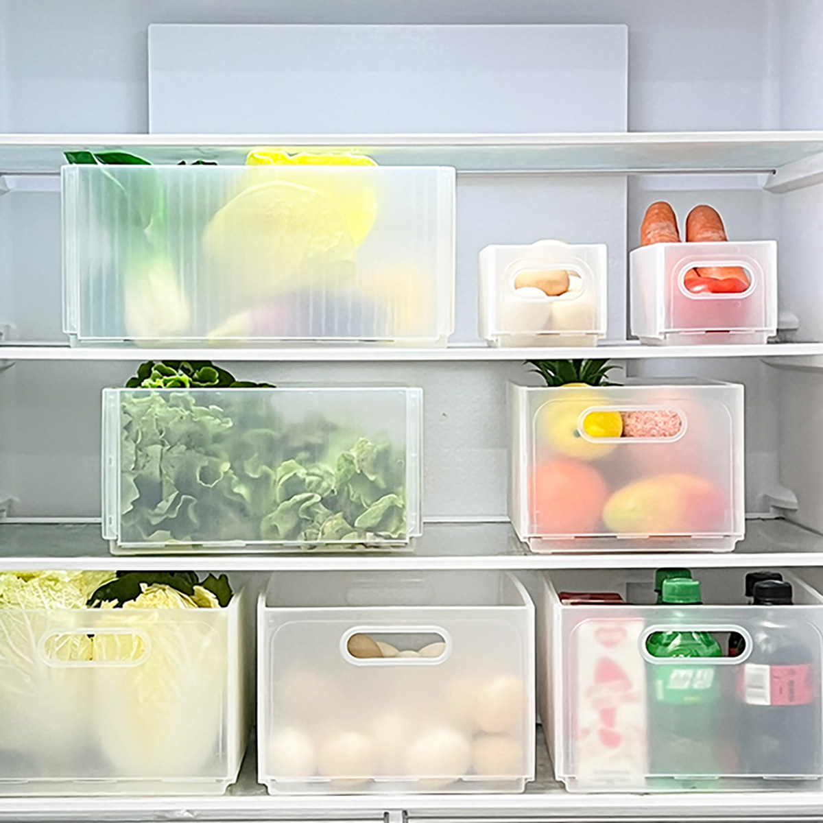 WORTHBUY Plastik Katlanır Buzd - Xxl Food Storage Container incelemesi ve fiyatı