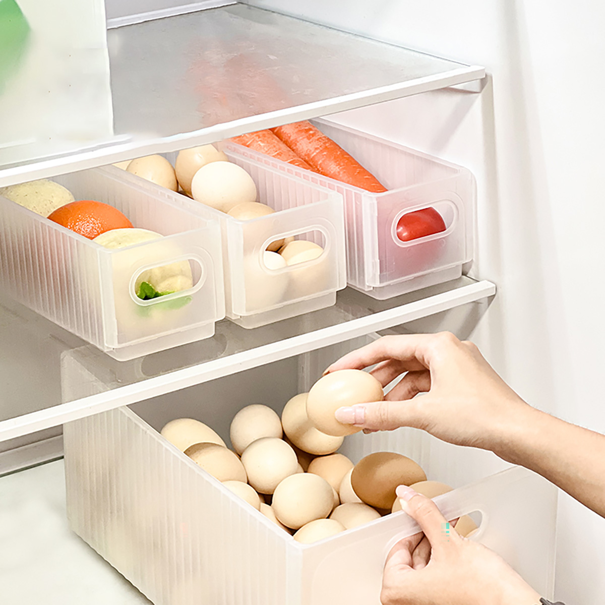 WORTHBUY Plastik Katlanır Buzd - Xxl Food Storage Container incelemesi ve fiyatı