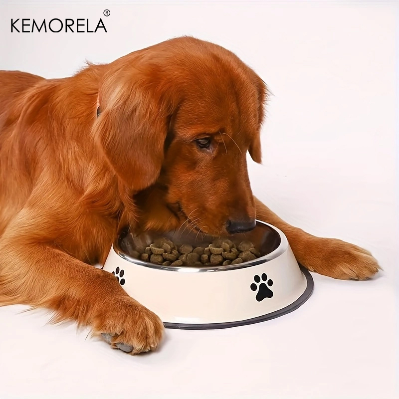 Paslanmaz çelik Pet köpek kase - Xxl Food Storage Container incelemesi ve fiyatı